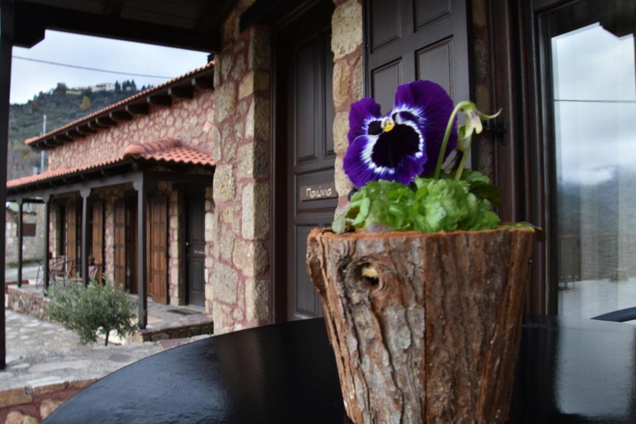 Paliokastro Guesthouse Kato Sinikia Trikalon Esterno foto